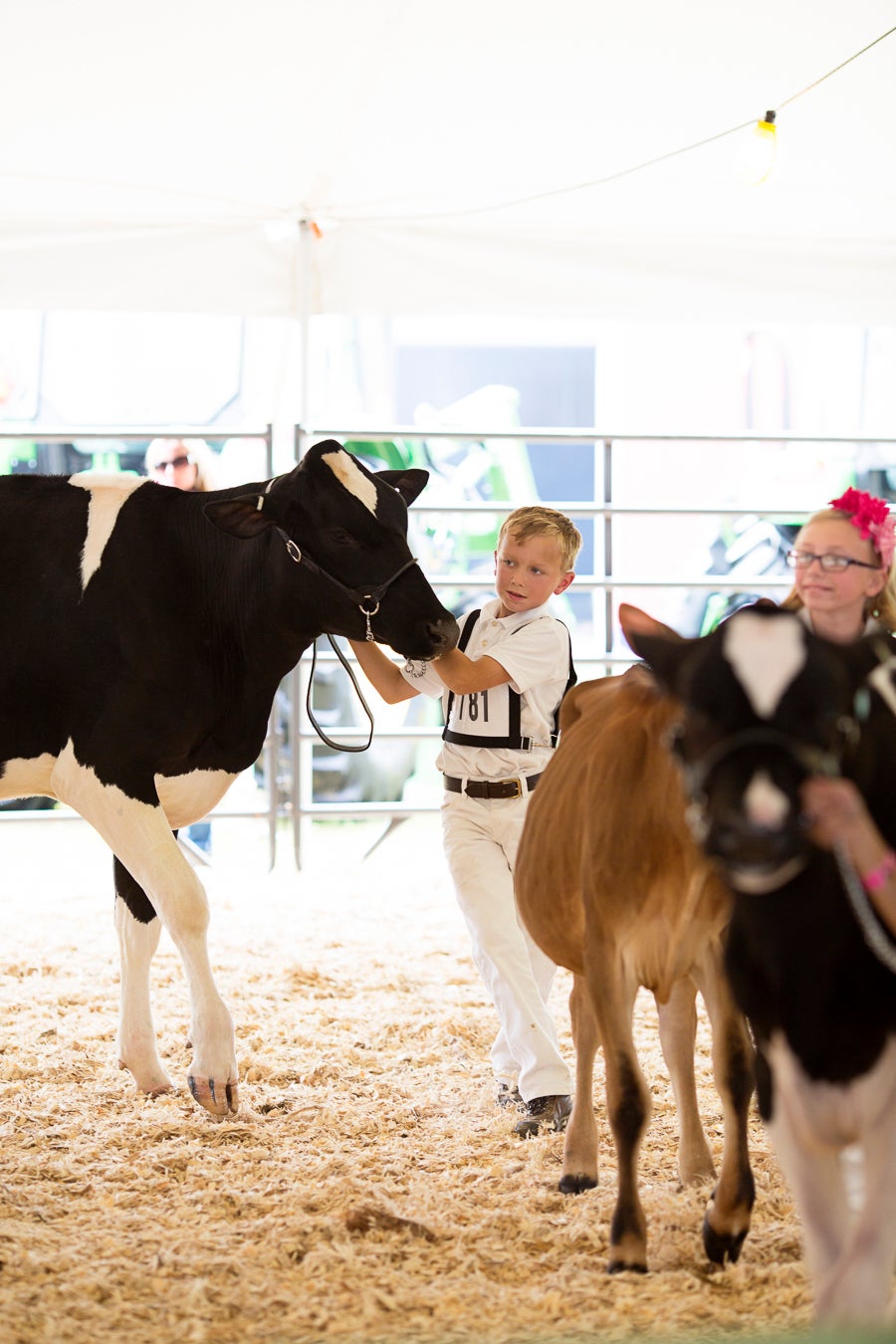 NY County Fair-17