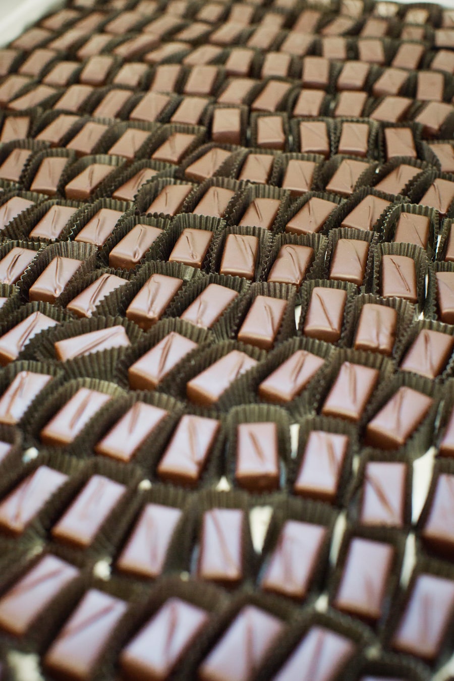 ChocolateWilhelm-7